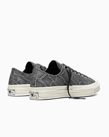 Chuck 70 Snakeskin Print